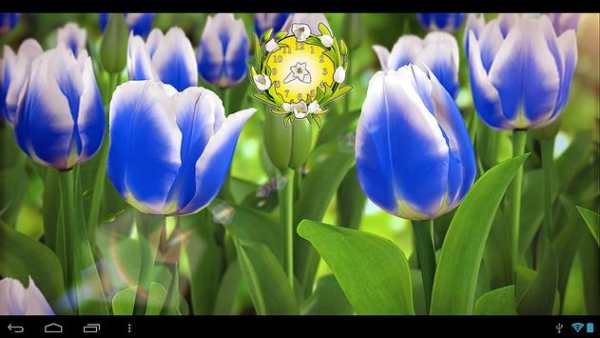 My Flower screenshot 7