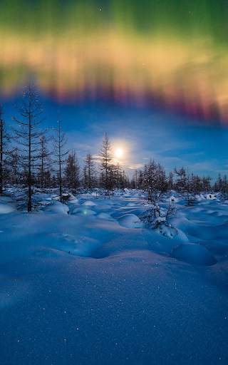 Northern Lights Live Wallpaper screenshot 9