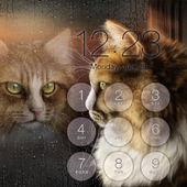 Cat Lock Screen Wallpaper icon