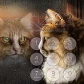 Cat Lock Screen Wallpaper