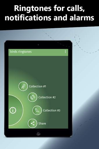 Birds ringtones, birds sound screenshot 5