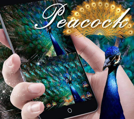 Blue peacock Keyboard Theme screenshot 1