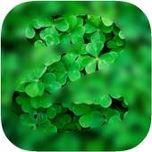 Blur Image 5.0