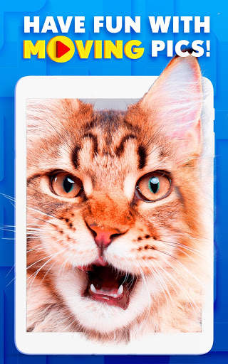 Video Puzzles - Magic Logic Puzzle for Brain screenshot 11