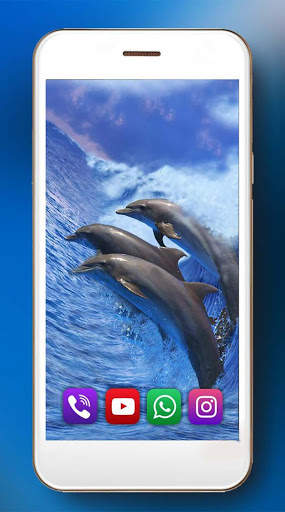 Dolphins Live Wallpaper screenshot 4