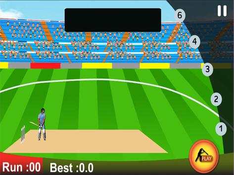 Cricket 2d screenshot 6