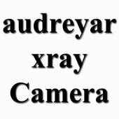 Audreyar Xray APP icon