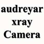 Audreyar Xray APP 1.0