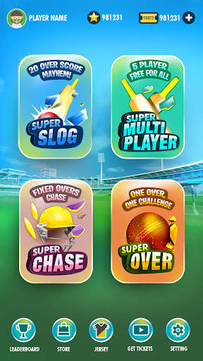 WCC Cricket Blitz screenshot 2