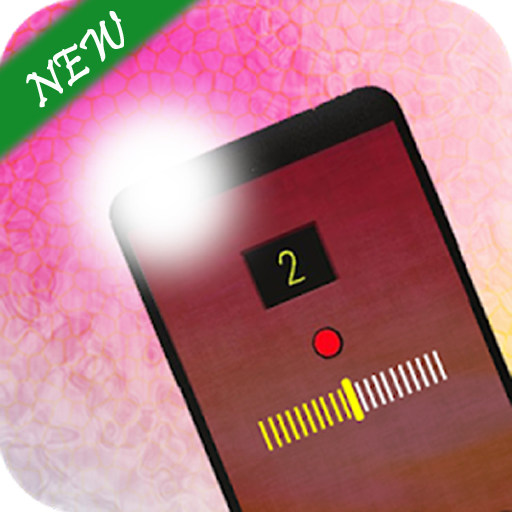 FlashLight (Front &amp; Rear) icon