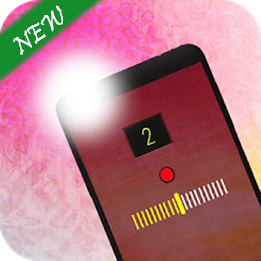 FlashLight (Front & Rear) screenshot 1
