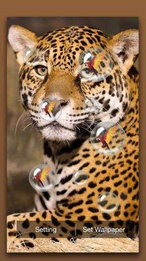 Leopard Live Wallpaper screenshot 2