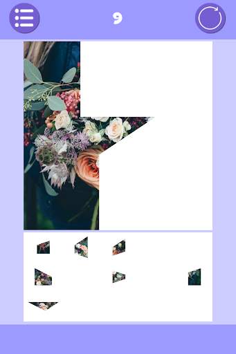 Tangram Picture Puzzle screenshot 6