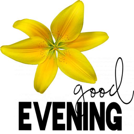 Good Evening sticker Night SweetDream for WhatsApp screenshot 4