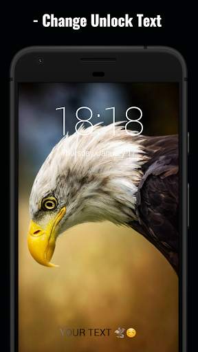 Eagle Lock Screen 3 تصوير الشاشة