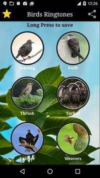 Birds Sounds screenshot 7