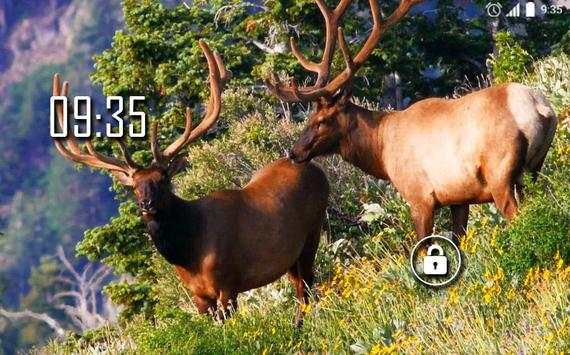 Beautiful Deer Live Wallpaper screenshot 5