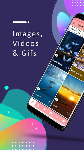 Free Live Wallpapers Hd - Live Hd video wallpaper screenshot 2