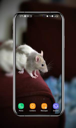 Cute Hamster Wallpaper screenshot 8