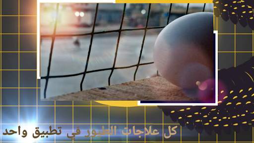تطبيق الجناية | app poultry (النسخة التجريبية) 4 تصوير الشاشة