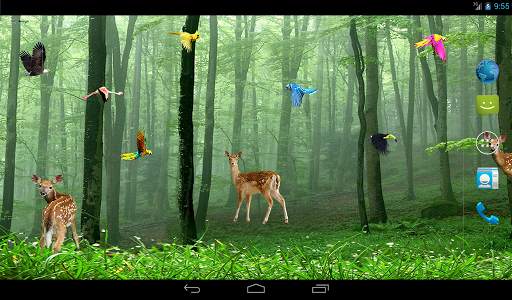 Rain Forest Live Wallpaper screenshot 4