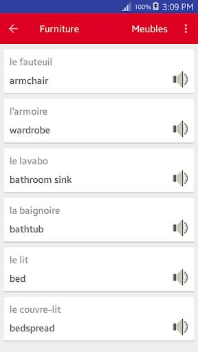 Learn French Vocabulary - speak french offline screenshot 8