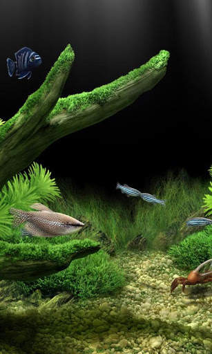 Aquarium Live Wallpapers screenshot 1