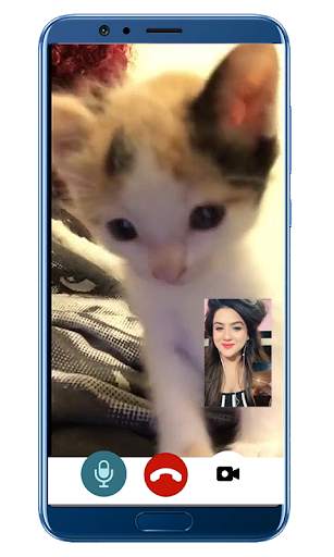 Fake Call Video Cat - simulator screenshot 4