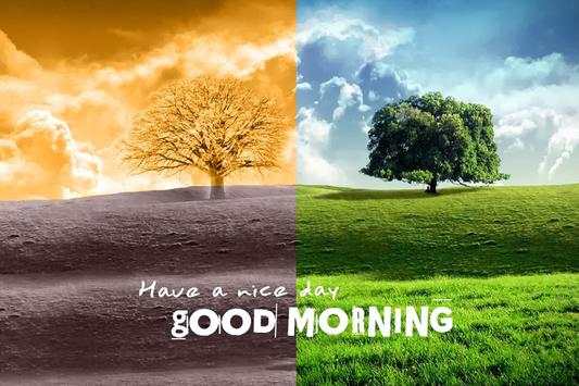 Good Morning Wishes-Images-Quotes-Messages-Sms screenshot 2
