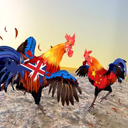 Farm Rooster Fighting Chicks 2 2.11