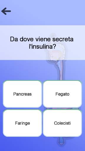 Anatomia screenshot 5