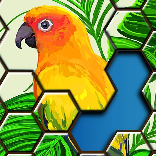 Jigsaw Puzzles Hexa 2.9.2