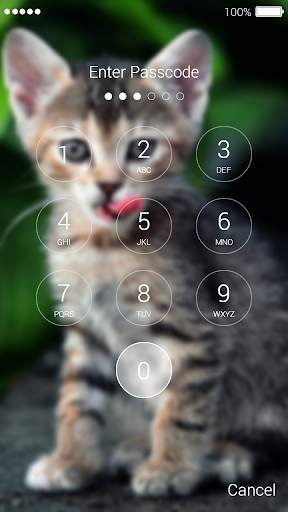 Kitten Lock Screen 2 تصوير الشاشة