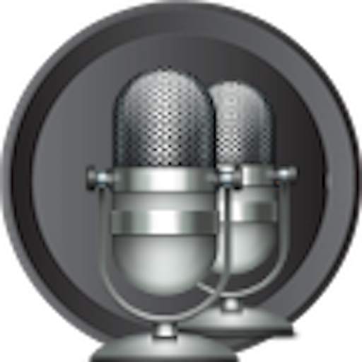 Stereo Audio Microphone 4.1