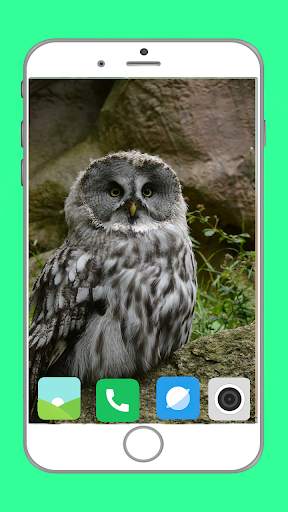 Predator Birds Full HD Wallpaper скриншот 15