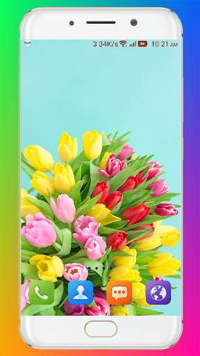 Tulip Wallpaper HD screenshot 4
