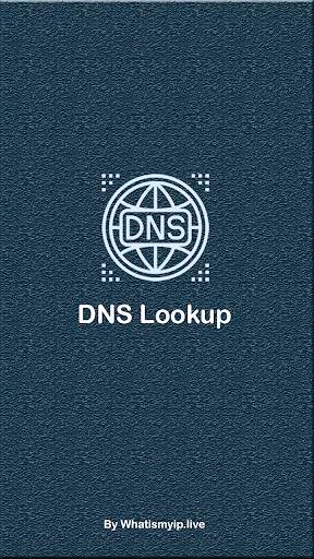DNS Record Lookup 1 تصوير الشاشة