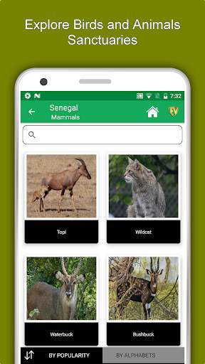Senegal Travel & Explore, Offline Country Guide screenshot 5