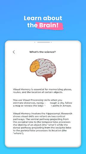 Brainwell - Brain Training 24 تصوير الشاشة