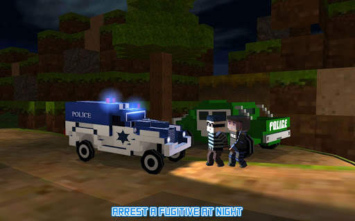 San Andreas Crime Mountain Arresting screenshot 2