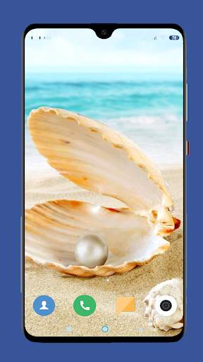 Seashell Wallpaper HD screenshot 2