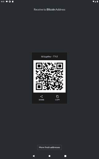 Simple Bitcoin Wallet TESTNET screenshot 6