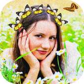 Butterfly Crown 1.0