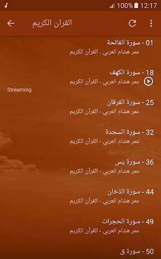 Omar Hisham Al Arabi Quran screenshot 3