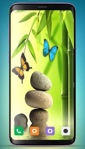 Bamboo Wallpaper HD screenshot 3