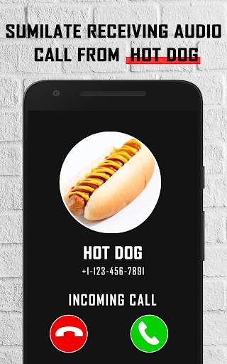 Hot Dog fake video call - chat screenshot 1
