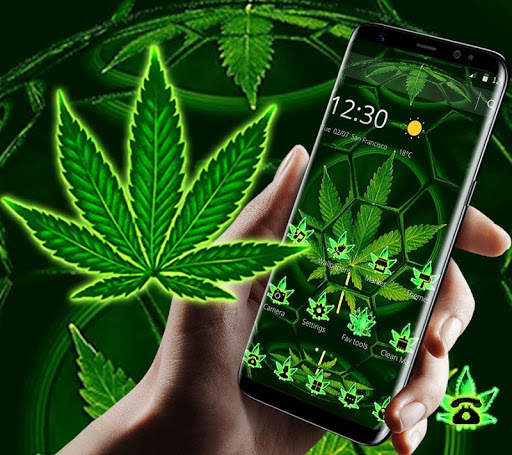 Green Football Weed Leaf Theme screenshot 3