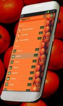Mandarin Music Player Skin screenshot 2