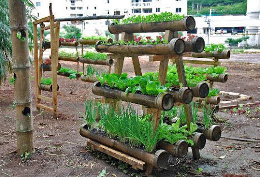 Vegetable Garden Ideas скриншот 2