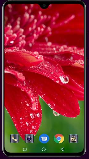 Water Drops Wallpaper screenshot 4